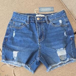Classic Blue Denim Shorts